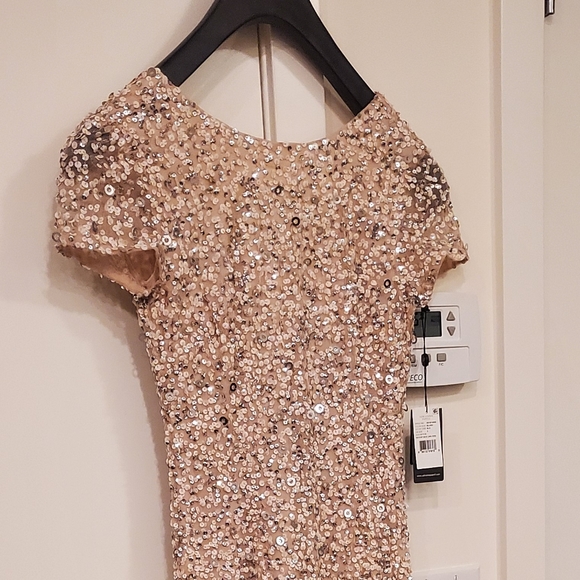 Brand New - Adrianna Papell Scoop Back Sequin Gown - Picture 6 of 6